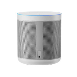 Juice Borx | Xiaomi Smart Speaker